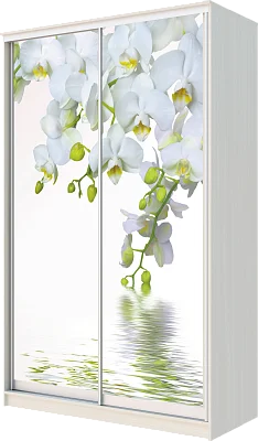 картинка Шкаф-купе 2-х дверный с фотопечатью Белая орхидея 2400 1500 420 от магазина КУПИ КУПЕ